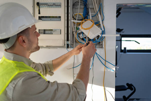 Best Electric Panel Repair  in Alma, NE